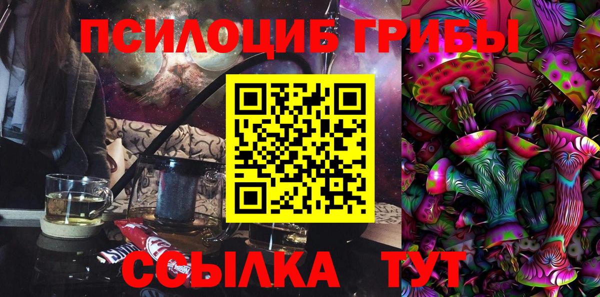 Галлюциногенные грибы Psilocybine cubensis Братск