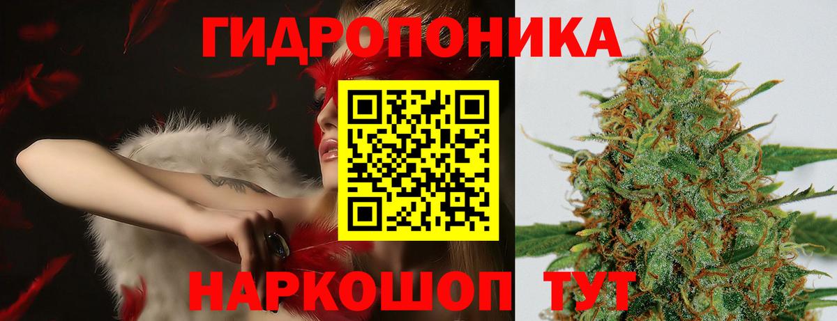 Конопля MAZAR Братск